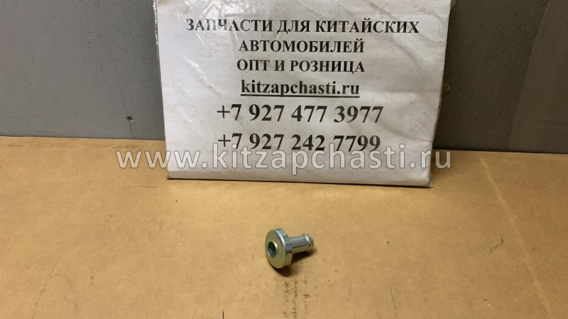 Заглушка блока цилиндров JAC N56 1002120FA01